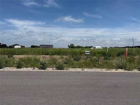 220 Yawney Drive, Lipan, TX 76462