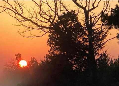 91 Dover Drive, Gordonville, TX 76245