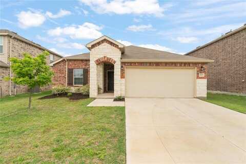 1113 Trace Drive, Aubrey, TX 76227
