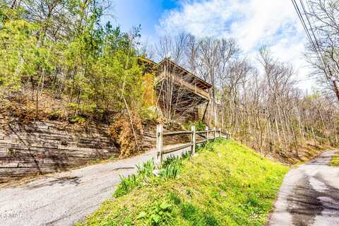 1005 Beach Hollow Court, Sevierville, TN 37876