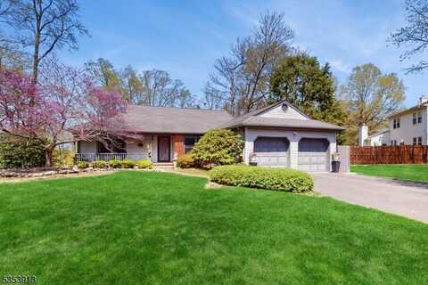 4 Hackberry Pl, Raritan, NJ 08822