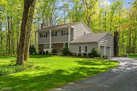 18 Van Dorn Rd, Bernardsville, NJ 07920
