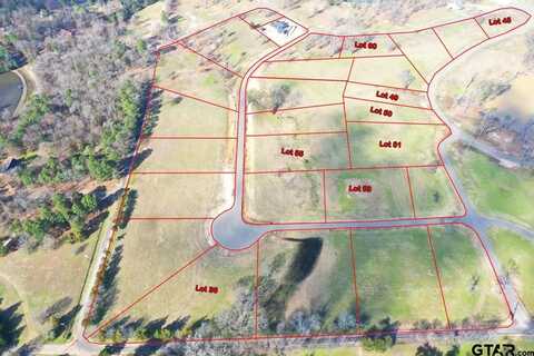 TBD LOT 55 SOUTHSHORES, Pittsburg, TX 75686