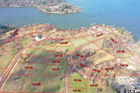 TBD LOT 60 SOUTH SHORES, Pittsburg, TX 75686