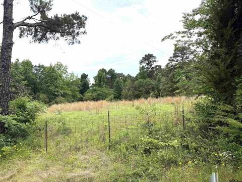 3337 E FM 2493, Bullard, TX 75757