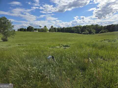 Lot 2 Smith Loop, Demorest, GA 30535