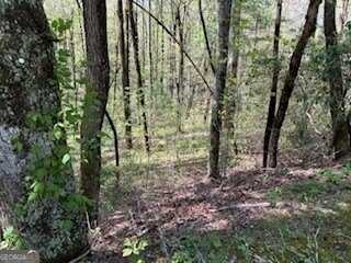 0 Bald Mountain, Sky Valley, GA 30537