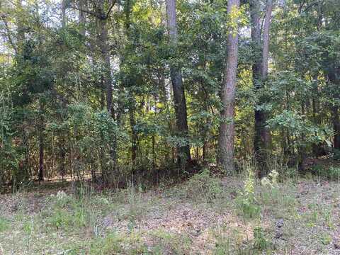 0 Lakewood Northeast, Conyers, GA 30012