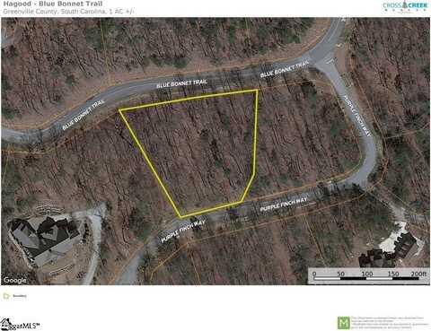 Purple Finch Way, Marietta, SC 29661