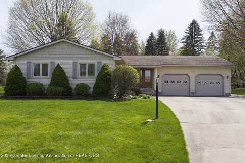 1117 S Geneva Drive, DeWitt, MI 48820