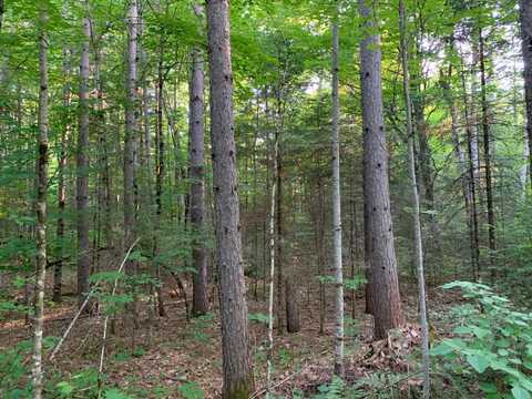 Lot 24 DEER TRAIL RD, Presque Isle, WI 54557