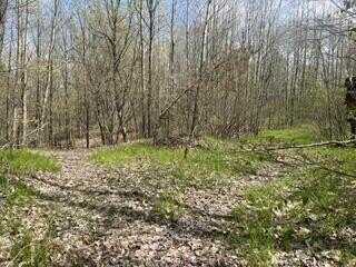 Tbd Pierce Road, Stanwood, MI 49346