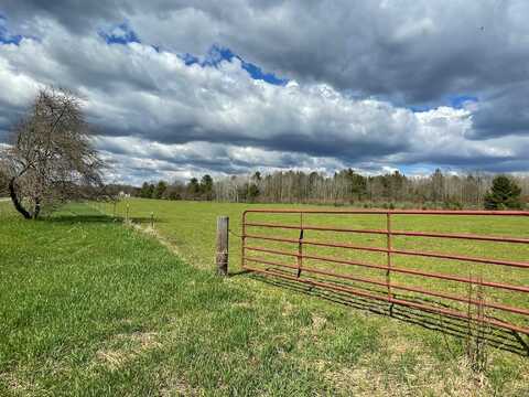 Bosschem Road, Wellston, MI 49689