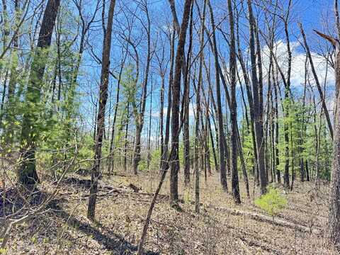 0 W Franklin Street, Bitely, MI 49309