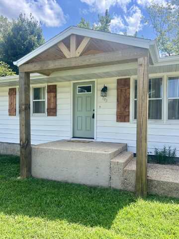 703 Washington Street, Mountain View, MO 65548