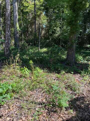 TBD FM 1801, Mineola, TX 75773