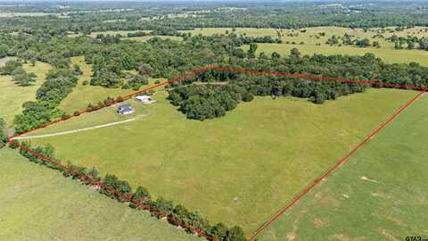 1412 AN County Road 431, Tennessee Colony, TX 75861