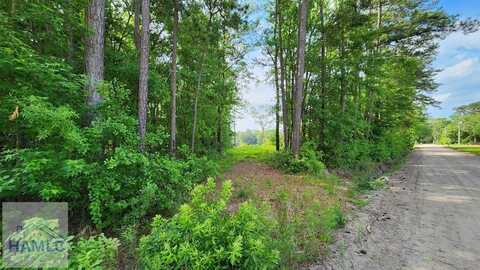 Carlyene Drive, Midway, GA 31320