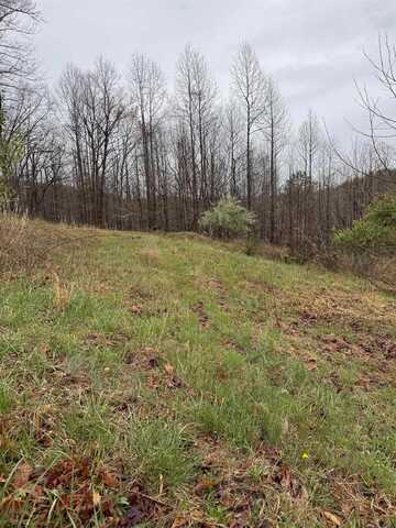 1040 Misty Valley Road, Scott Depot, WV 25560