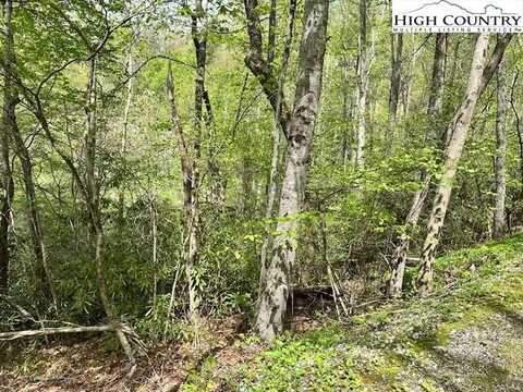 136 Ivy Road, Newland, NC 28657