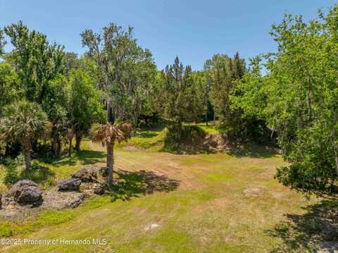 8800 S Steed Terrace, Floral City, FL 34436