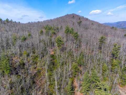 00 Little Cottage Way, Sapphire, NC 28774