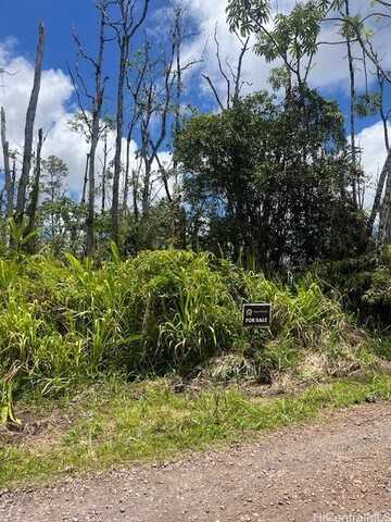 Lot 65 39th Avenue, Pahoa, HI 96778