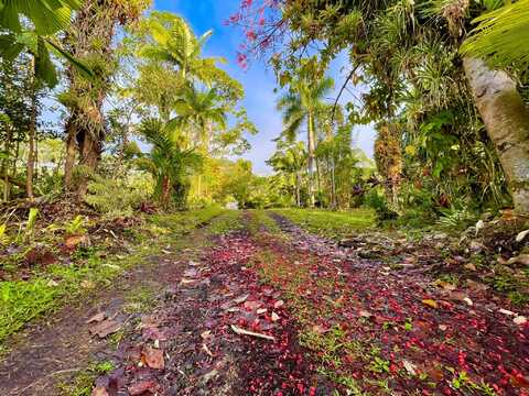 13-3980 PAHOA KALAPANA RD, Pahoa, HI 96778