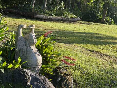13-3980 PAHOA KALAPANA RD, PAHOA, HI 96778