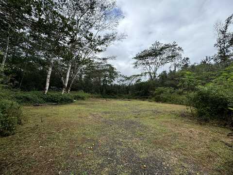 16-1122 MOHO RD, Mountain View, HI 96760
