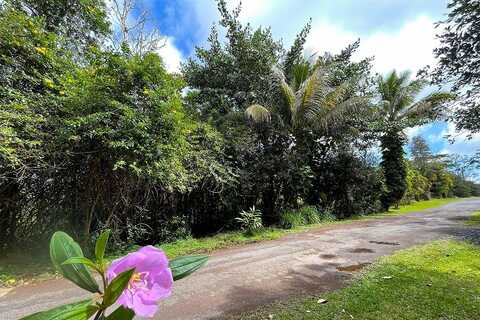 OCEAN VIEW PKWY, PAHOA, HI 96778