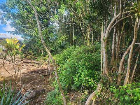 undefined, PAHOA, HI 96778