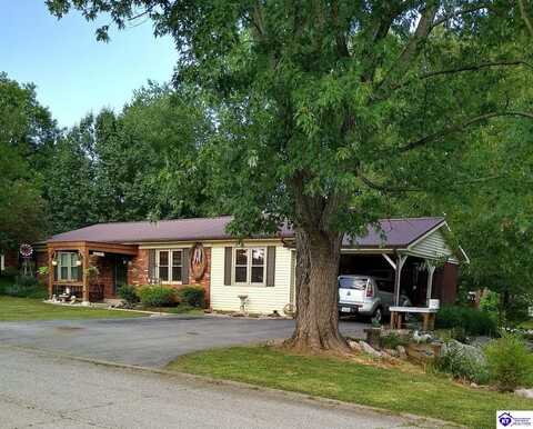 401 Embry Villa Drive, Leitchfield, KY 42754