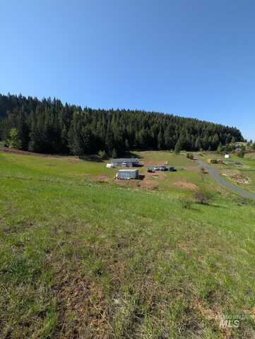 135 Shenandoah First Street, Kamiah, ID 83536