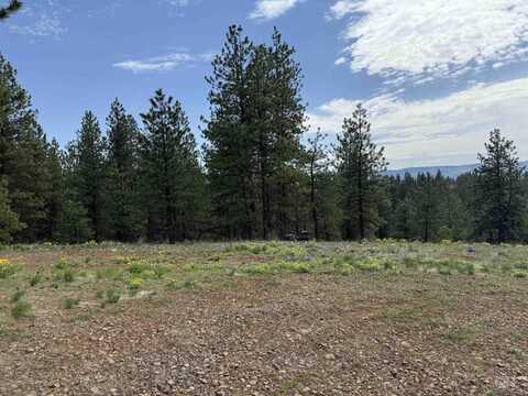 Lot 7 Van Dorn Dr., New Meadows, ID 83654