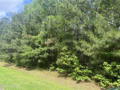 124 Baytree Lane, Havelock, NC 28532