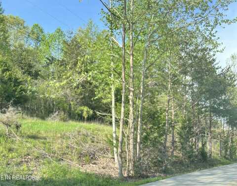 Vardy Blackwater Rd, Sneedville, TN 37869