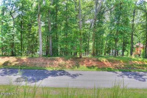 Lot 55 E Shore Drive, Rockwood, TN 37854