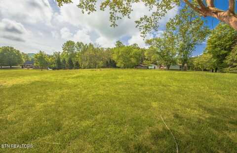 Swan Pond, Harriman, TN 37748