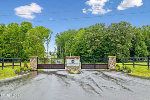 Lot 27 Sunset Blvd, White Pine, TN 37890