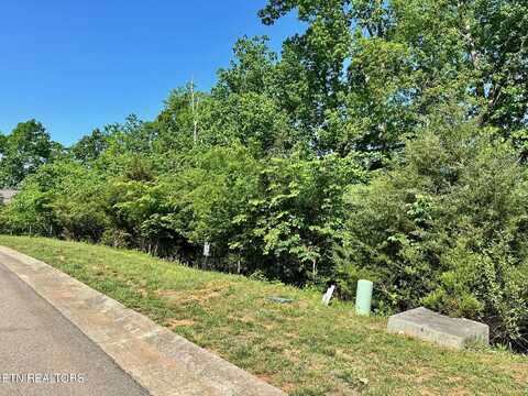 585 Black Cove Lane, Loudon, TN 37774