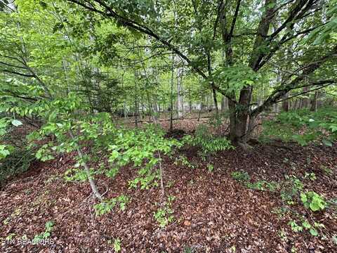 114 & 116 Shore Lane, Fairfield Glade, TN 38558
