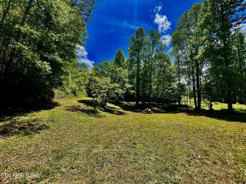 1294 Rafter Rd, Tellico Plains, TN 37385