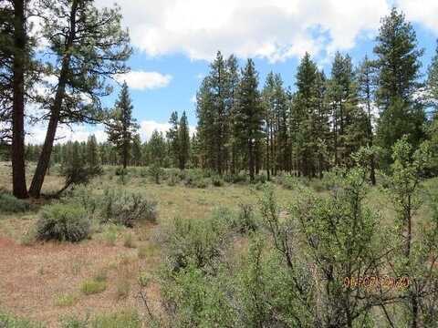 Seagull Drive, Bonanza, OR 97623