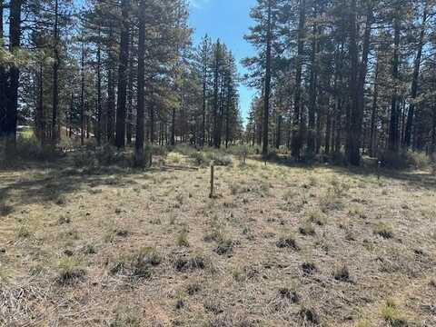 Ruddy Duck Drive, Bonanza, OR 97623
