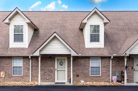 3347 Frontier View Drive, Sevierville, TN 37876