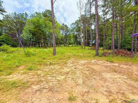 TBD CR 128, Overton, TX 75684