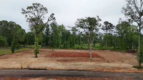 Lot 2 Private Road 1111, Diana, TX 75640