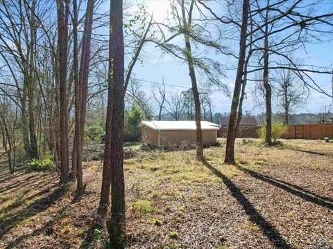 202 SIMS CIRCLE RD, Avinger, TX 75630
