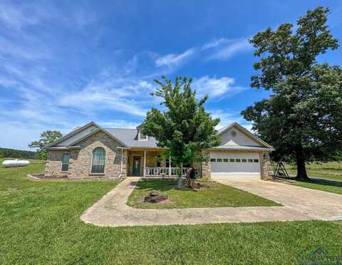 25 County Road 1905, Linden, TX 75563